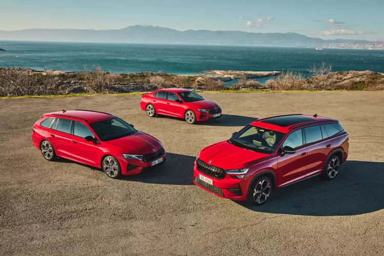 Image of a Skoda car