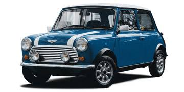 Rover Mini